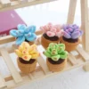 Crochet Woollen Succulent Plant Pot